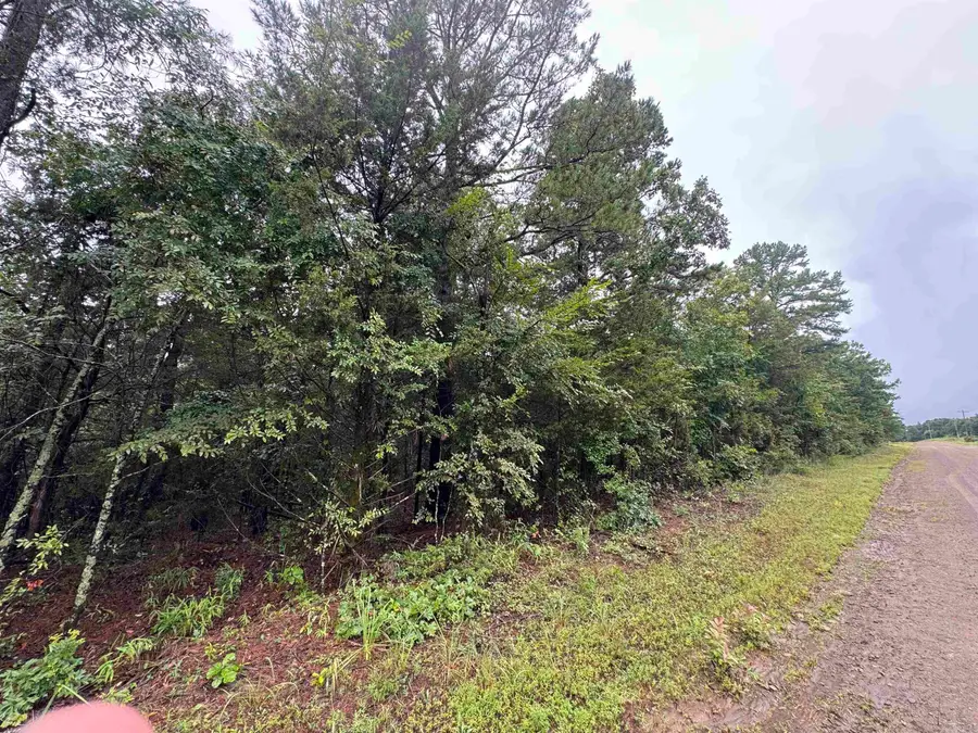 000 Mitchell Road, Booneville, AR 72927 - #3