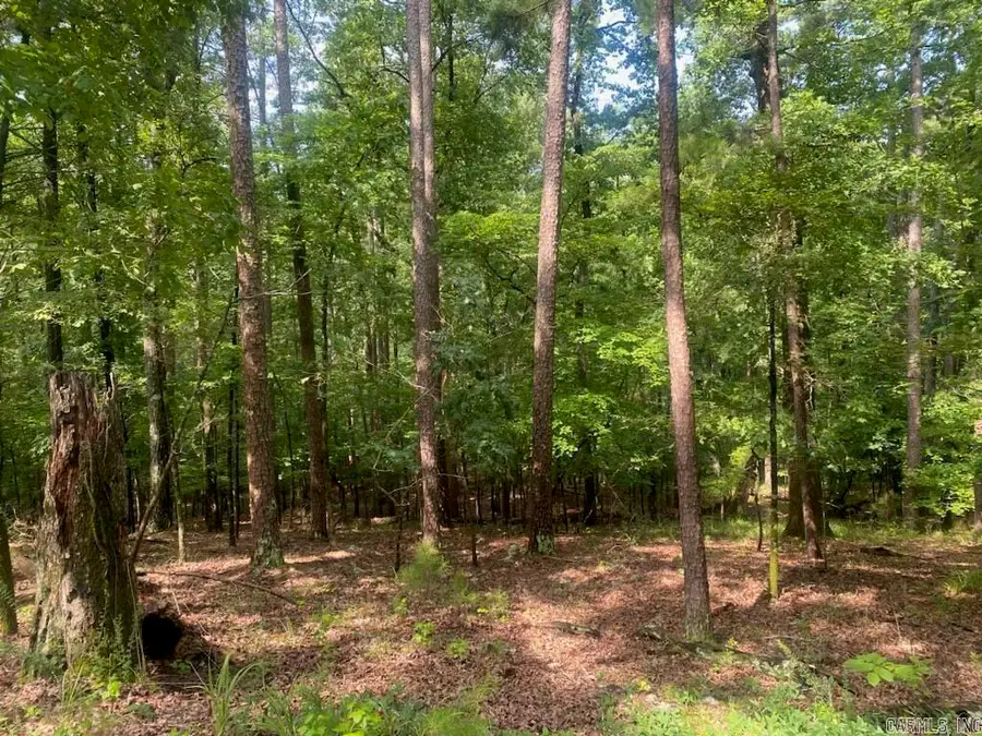 11 Southridge Drive, Mount Ida, AR 71957 - #2