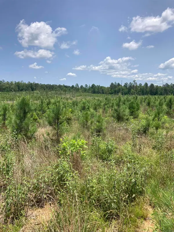 1406 BLOCK OF Beaudry Circle, Jessieville, AR 71949