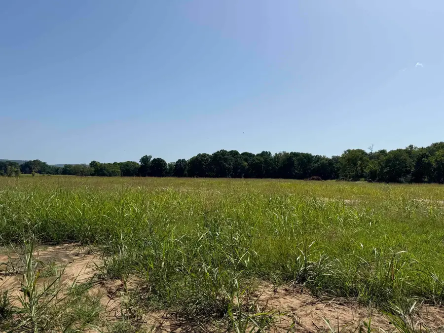 Lot 22 River Drift, Heber Springs, AR 72543 - #2