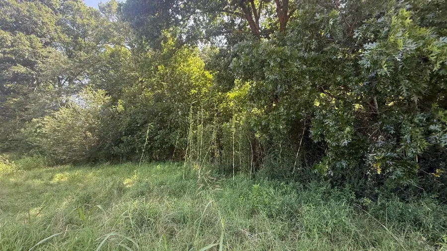 Lot 28 River Drift, Heber Springs, AR 72543 - #2