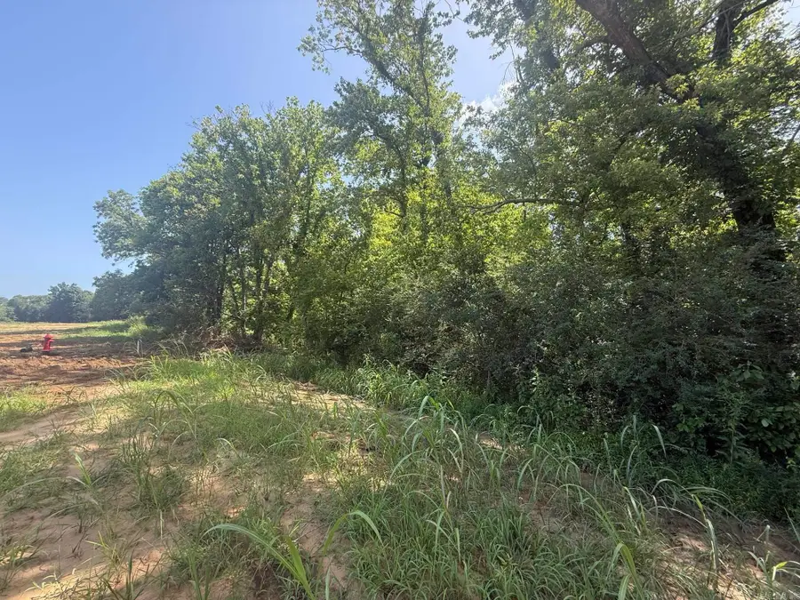 Lot 33 Up River, Heber Springs, AR 72543 - #3