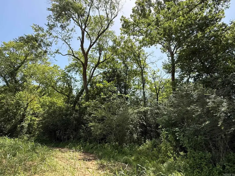 Lot 34 Up River, Heber Springs, AR 72543 - #3