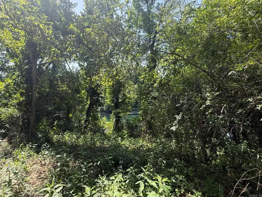 Lot 35 Up River, Heber Springs, AR 72543 - #2