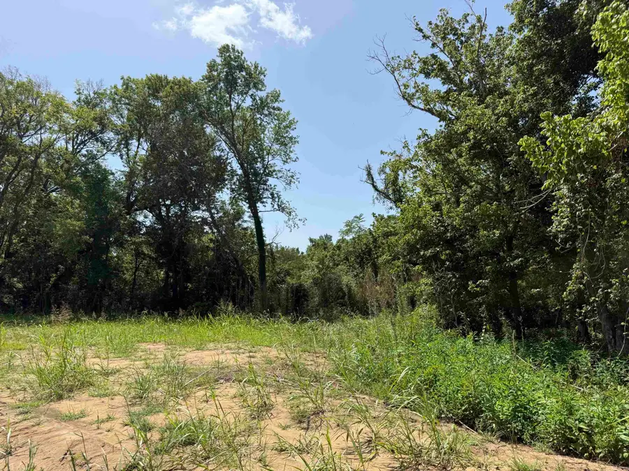 Lot 37 Up River, Heber Springs, AR 72543 - #2