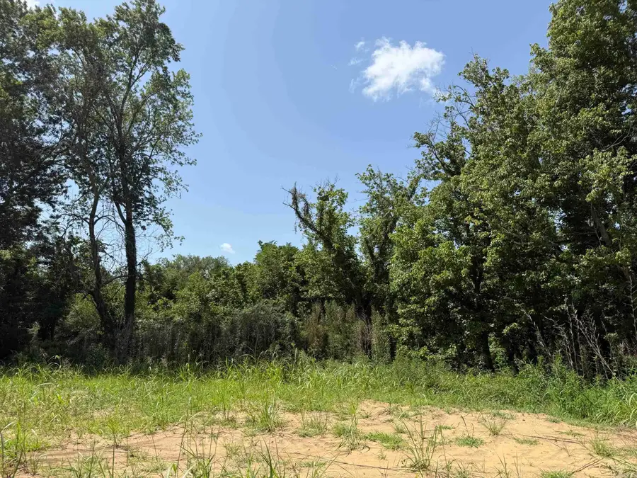 Lot 37 Up River, Heber Springs, AR 72543 - #3