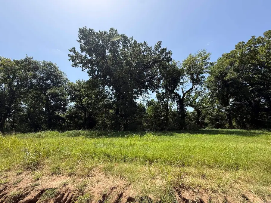 Lot 43 Up River, Heber Springs, AR 72543 - #2