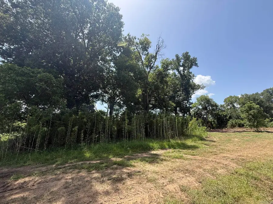 Lot 50 Down River, Heber Springs, AR 72543 - #2
