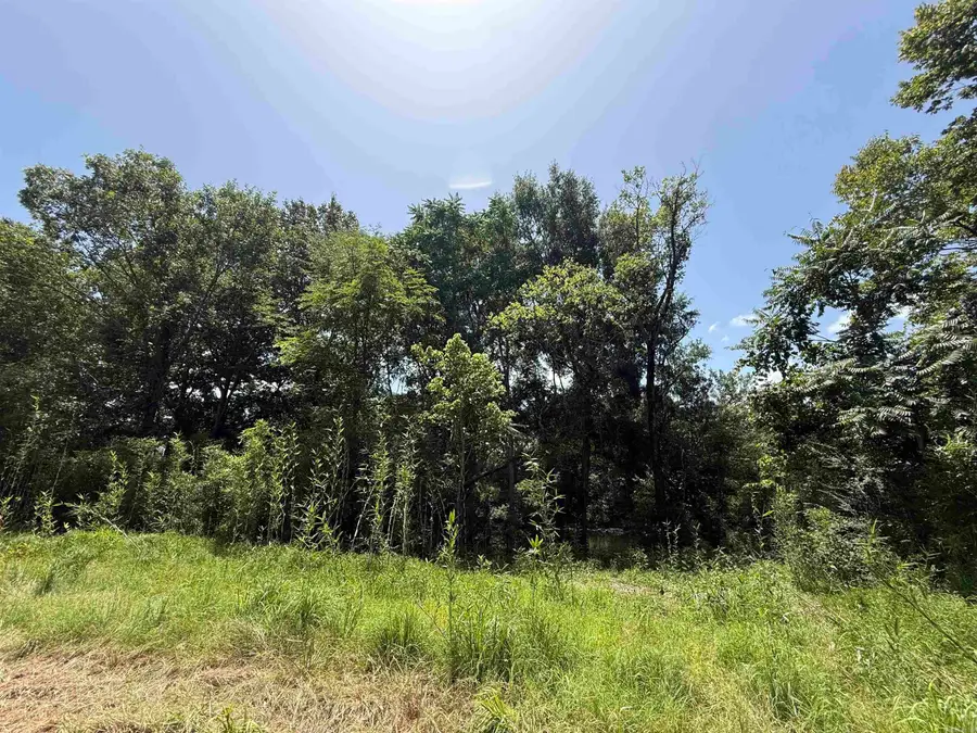 Lot 61 Down River, Heber Springs, AR 72543 - #3