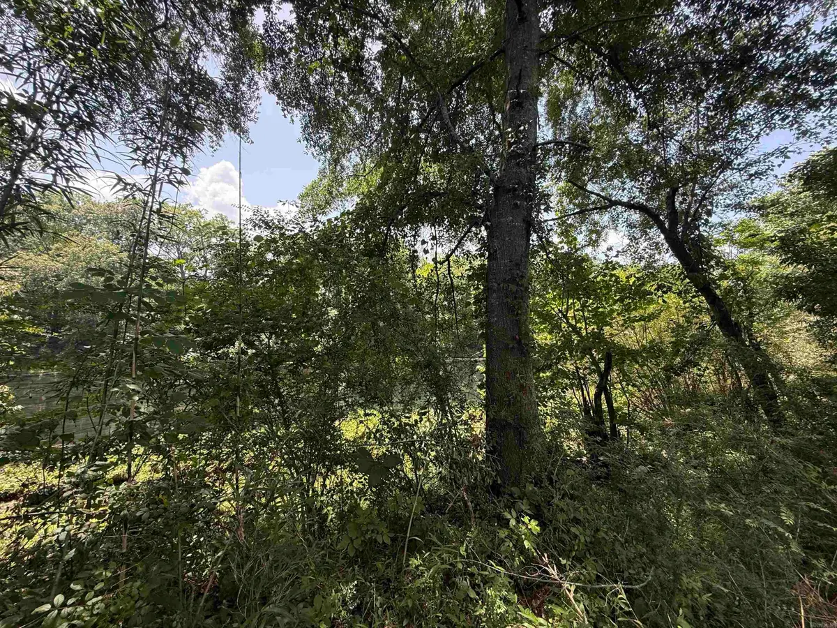 Lot 62 Down River, Heber Springs, AR 72543 - #1