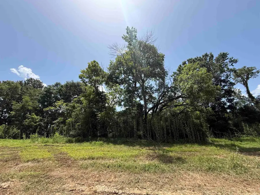 Lot 62 Down River, Heber Springs, AR 72543 - #3