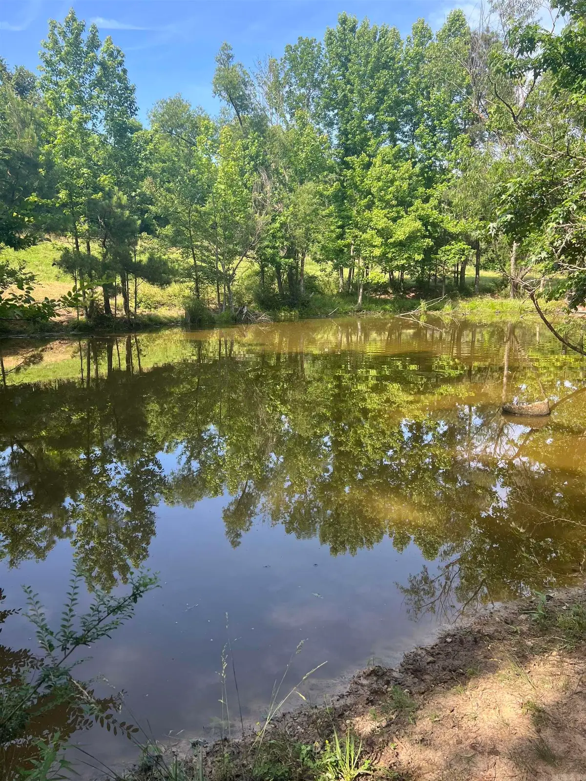 xx Mt View, Glenwood, AR 71943 - #1