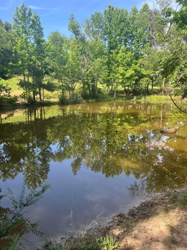 xx Mt View, Glenwood, AR 71943