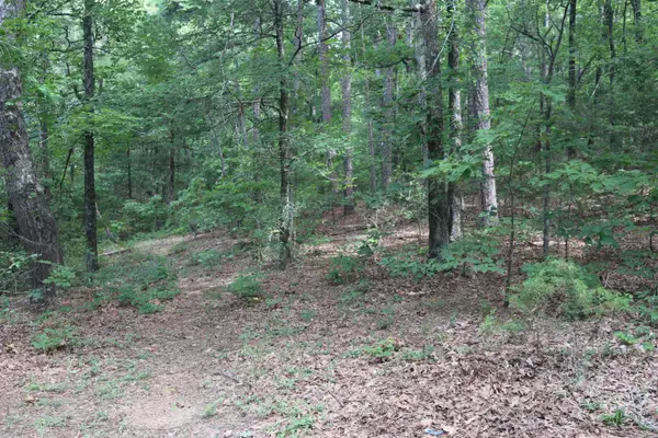 Long Branch Lane, Bee Branch, AR 72013