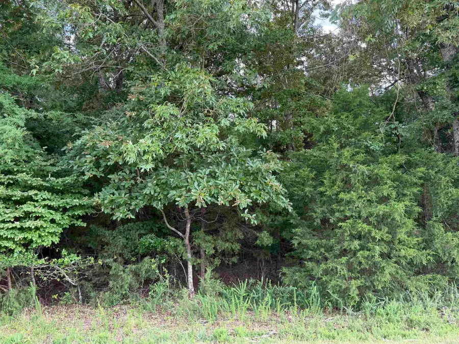 Tract 6 Cr 58, Mountain Home, AR 72653 - #2