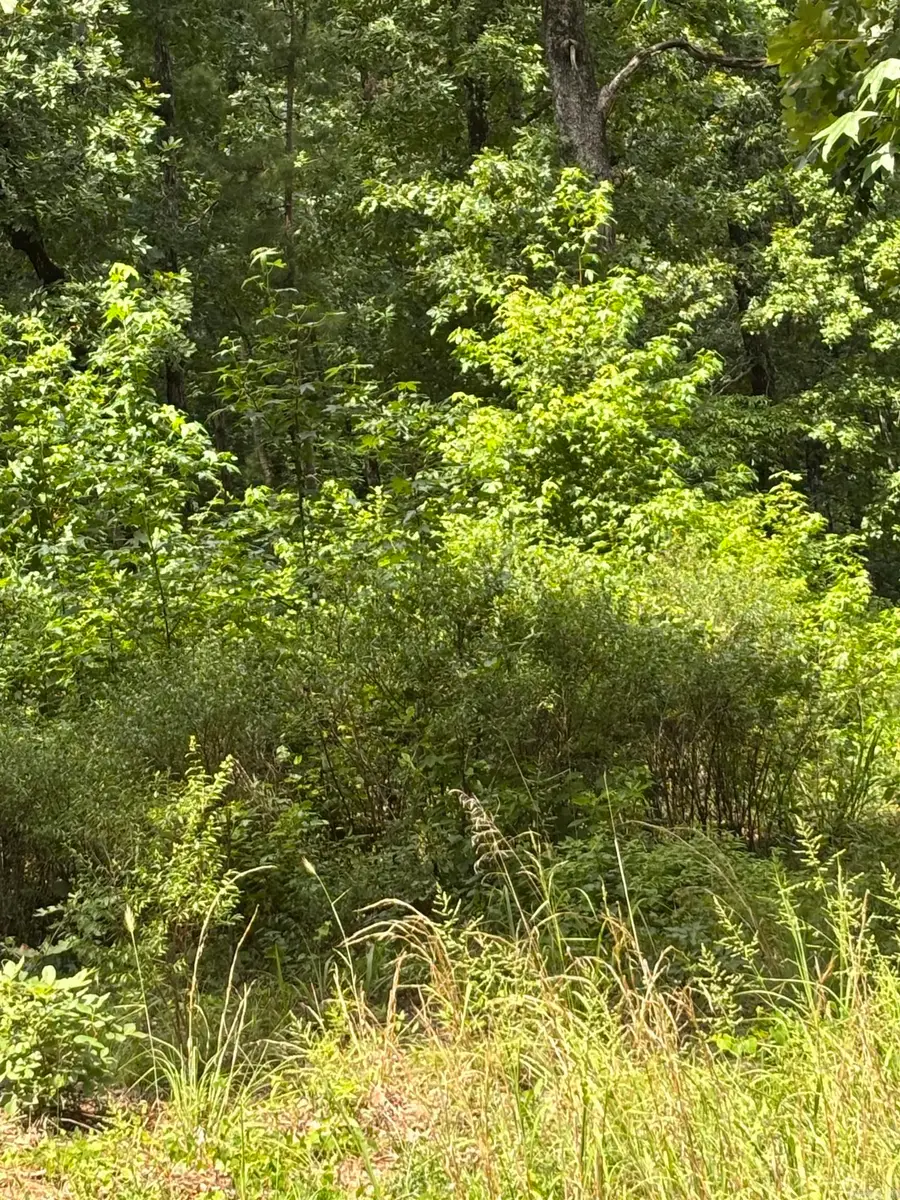 Lot 7 Boulder Boulevard, Shirley, AR 72153 - #2
