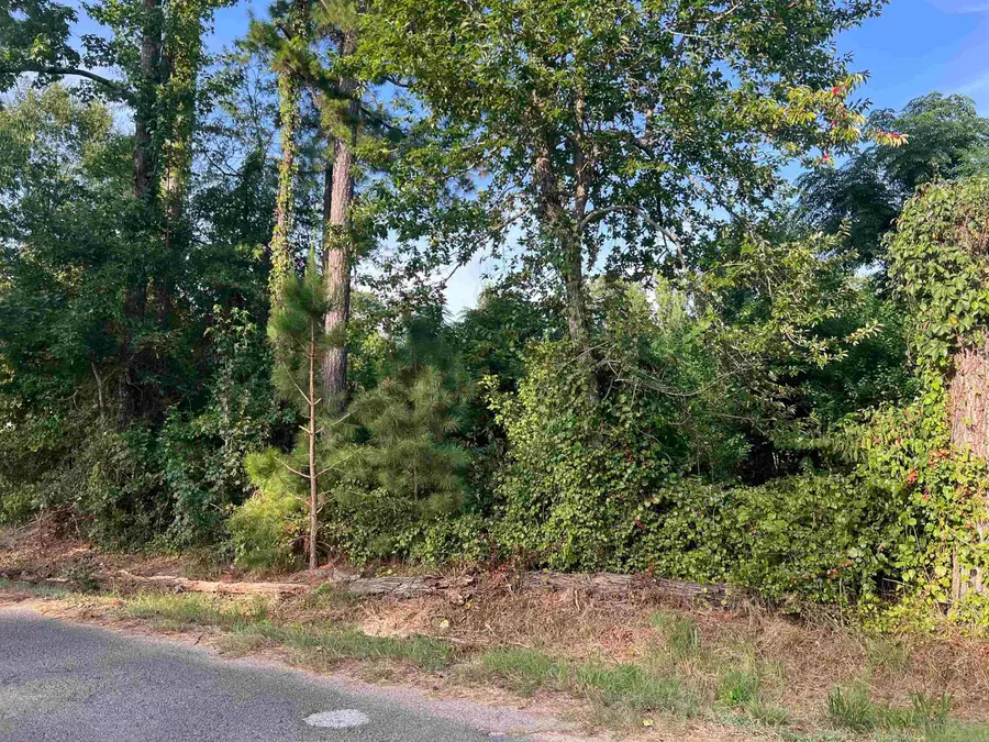 Poplin rd N Poplin Rd Road, White Hall, AR 71602 - #3
