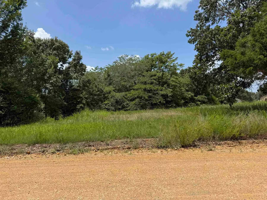 TBD Alma Drive, Highland Township, AR 72452 - #3