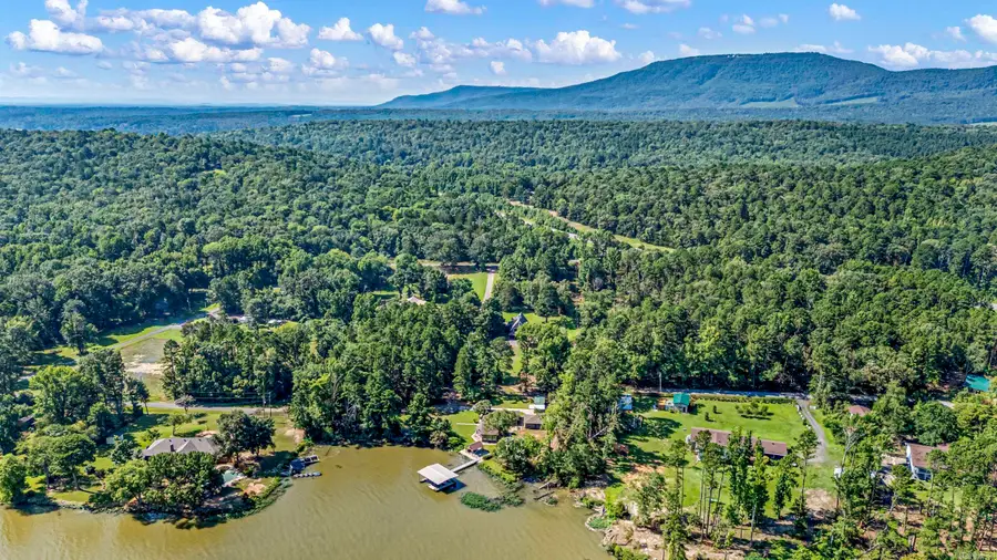 10101 Lakeshore Loop, Dardanelle, AR 72834 - #3