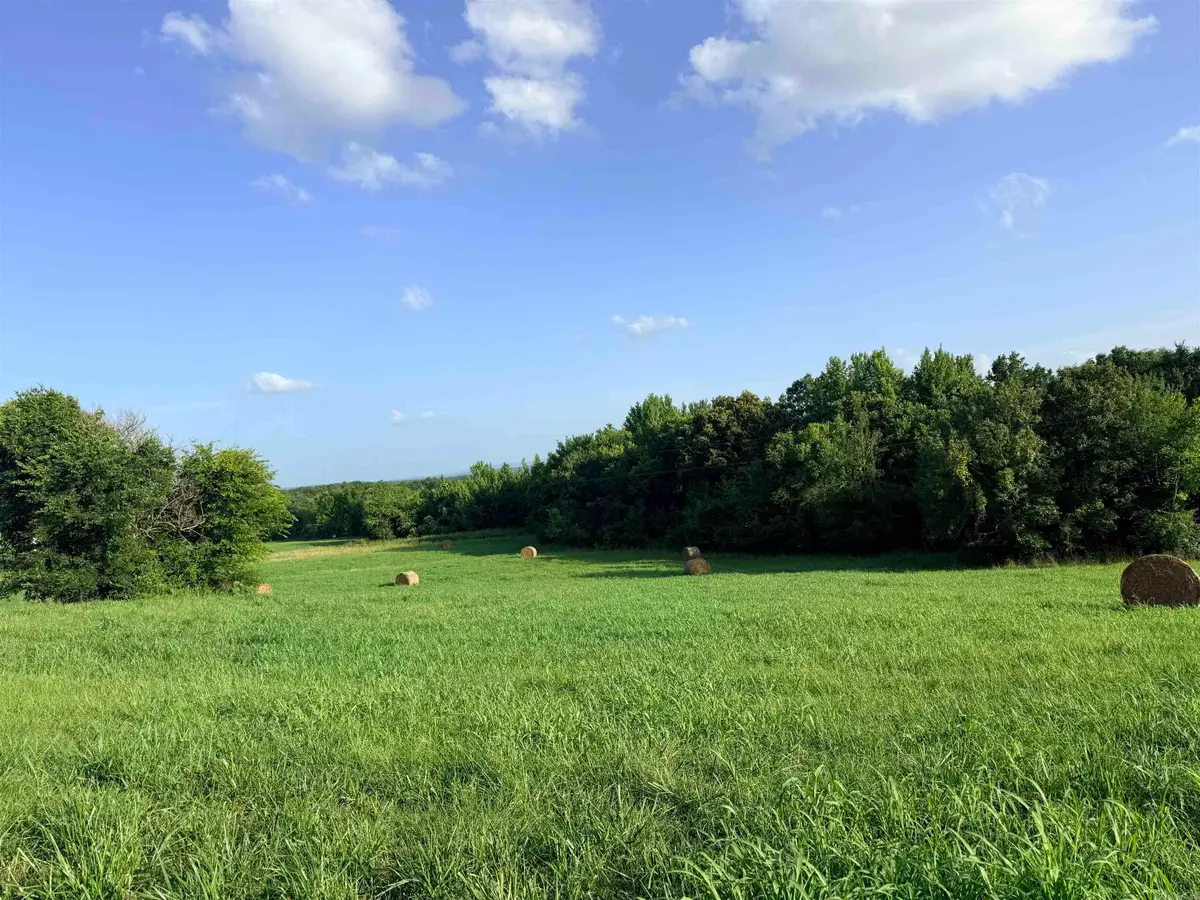 TBD Polk Rd 301, Mena, AR 71953 - #1