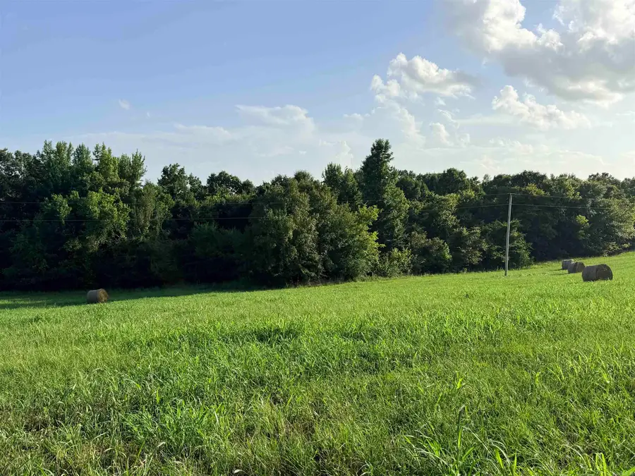 TBD Polk Rd 301, Mena, AR 71953 - #3