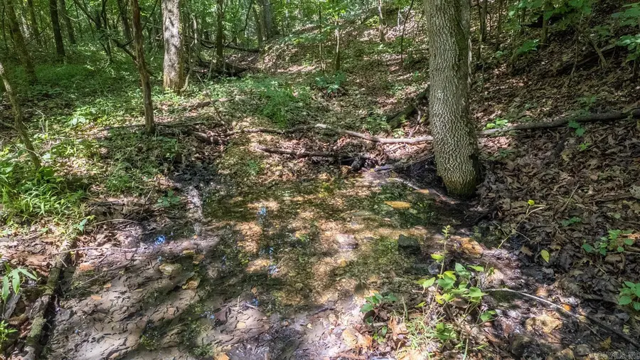 10824 Upper Janes Creek Road, Ravenden, AR 72459 - #3