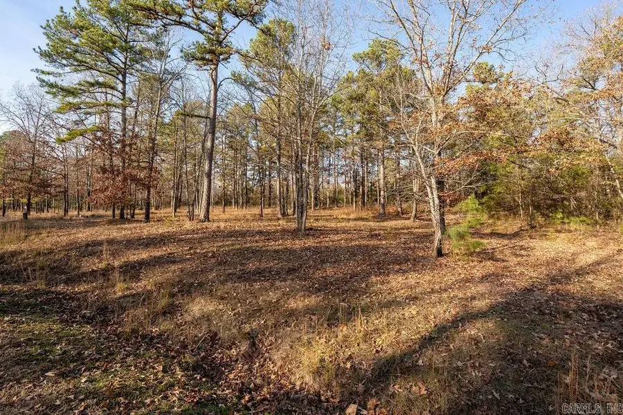 Lot 51 Redtail Lane, Heber Springs, AR 72543 - #3