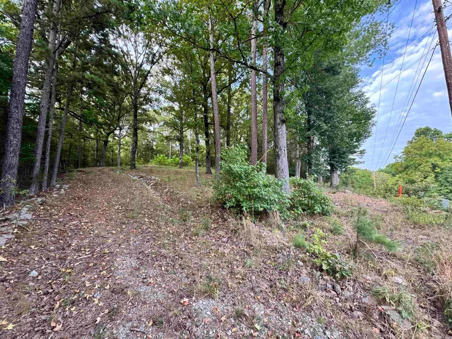 5306 Highway 270 E, Mount Ida, AR 71957 - #3