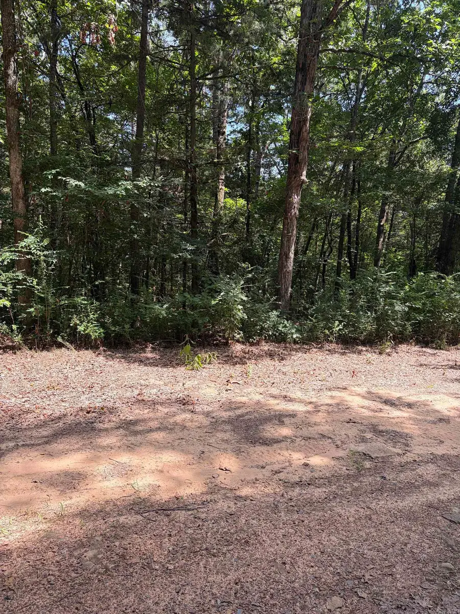 Lot 116-117 Del Rio Way, Greers Ferry, AR 72067 - #2