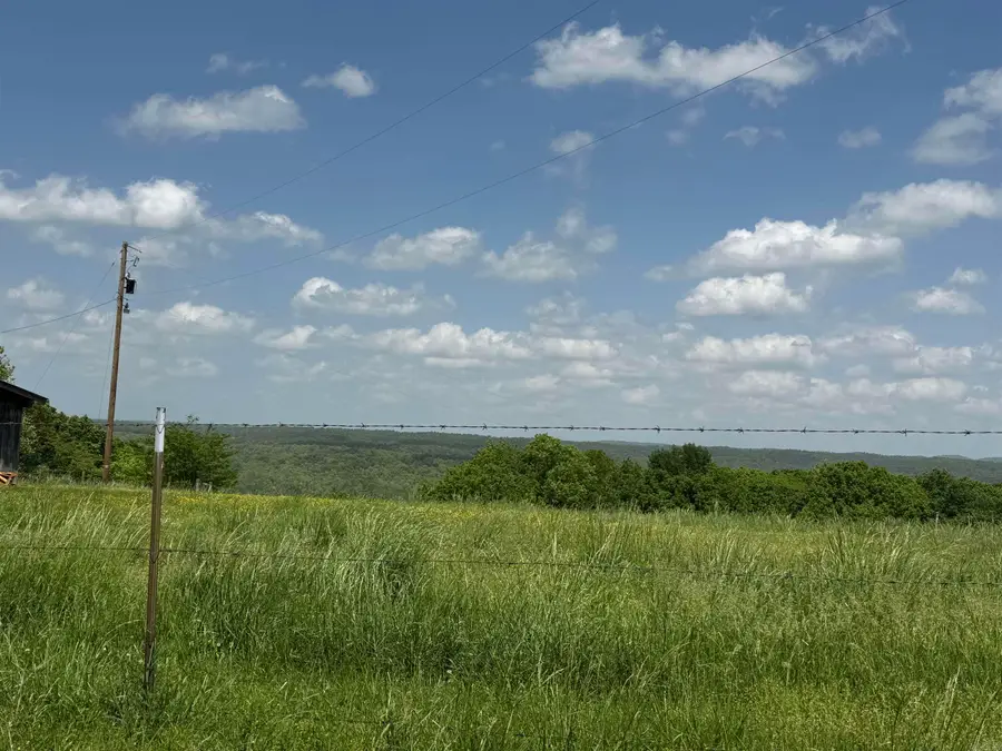 1366 Holmes Road, Mountain View, AR 72560 - #2