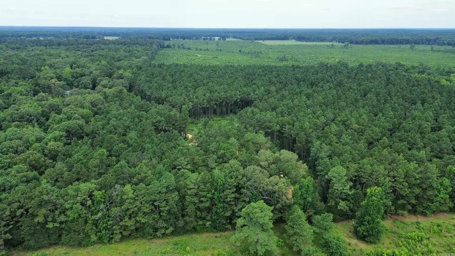 000 Casey Rd., Pine Bluff, AR 71603 - #3