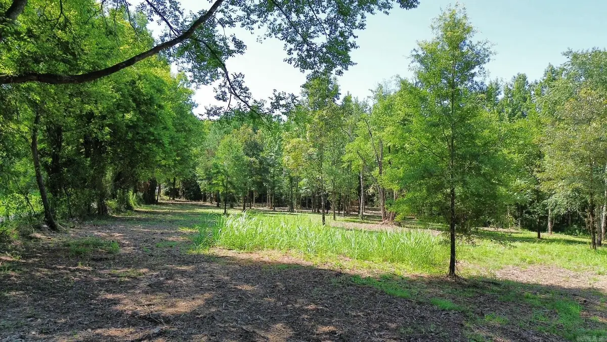 TBD Henshaw Road, Bismarck, AR 71929 - #1