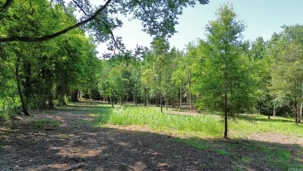 TBD Henshaw Road, Bismarck, AR 71929