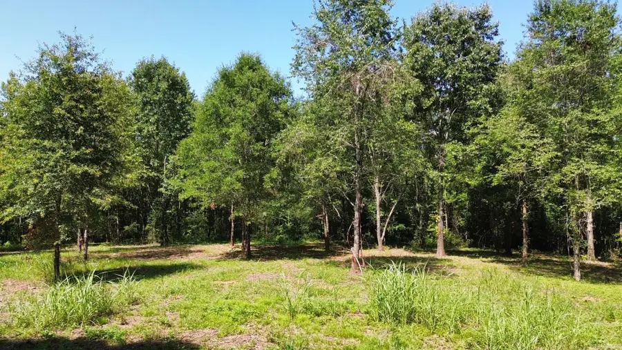 TBD Henshaw Road, Bismarck, AR 71929 - #2