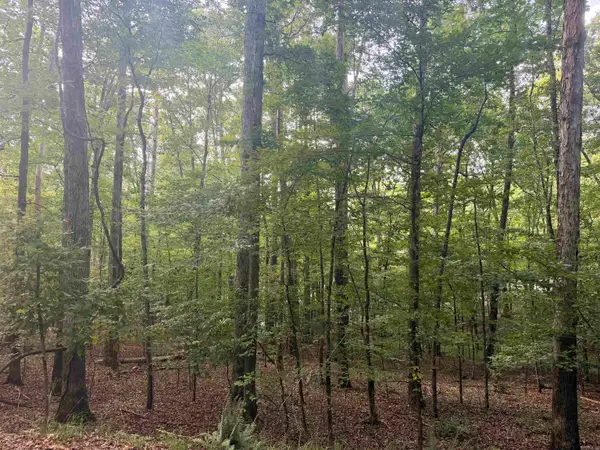 61 Ola Way, Hot Springs Village, AR 71909