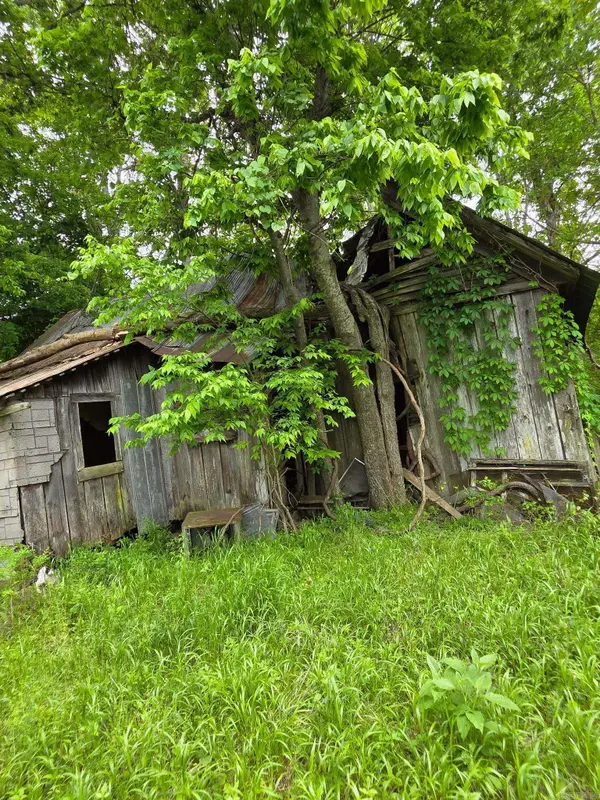 118 C.r. 5239, Oark, AR 72852