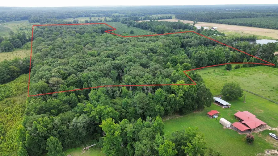 000 Sevier Cr 279 / Greyland Rd., Dierks, AR 71833 - #2