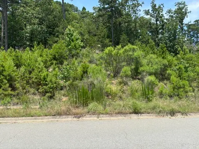 Lot 104 Maumelle Valley Drive, Maumelle, AR 72113 - #1