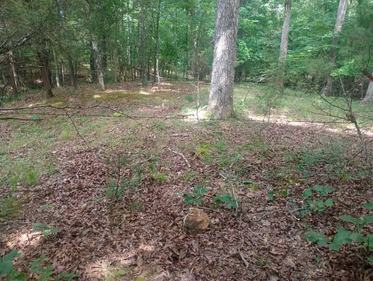 Off of Lawrence 106, Ravenden, AR 72459 - #1