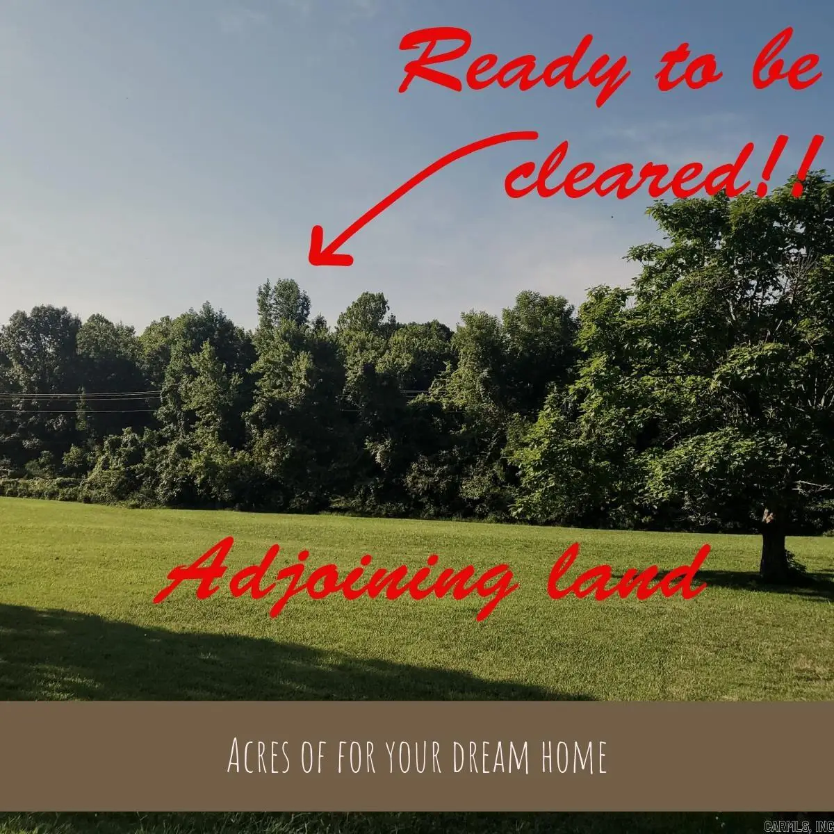21208 N Culberhouse Street, Jonesboro, AR 72401 - #1