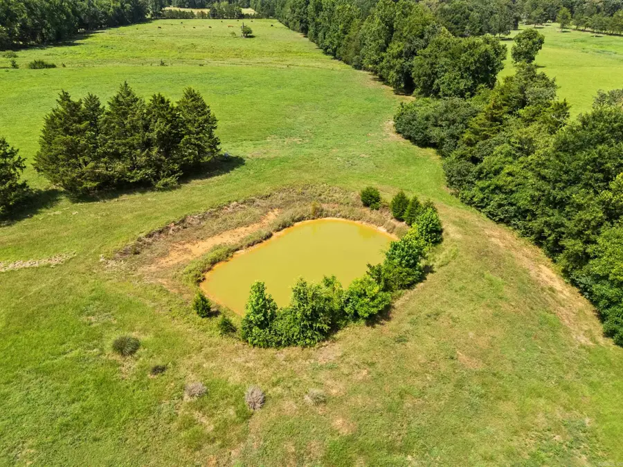 494 Bethel Road, Bigelow, AR 72016 - #3