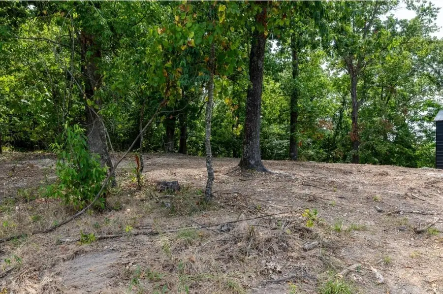 Lot 29 A Spring Road, Bentonville, AR 72712 - #2
