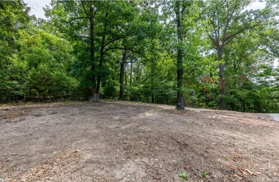 Lot 29 A Spring Road, Bentonville, AR 72712 - #3