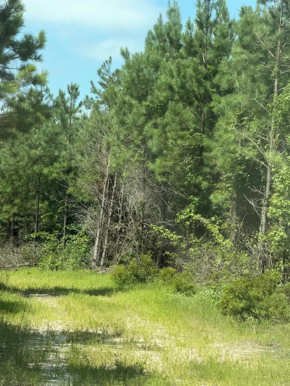 Address Withheld By Seller, Rosston, AR 71858 - #1