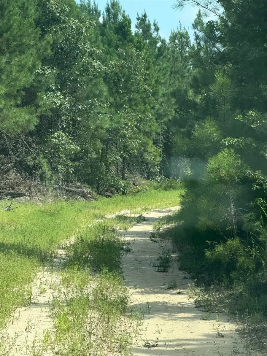 Address Withheld By Seller, Rosston, AR 71858 - #3