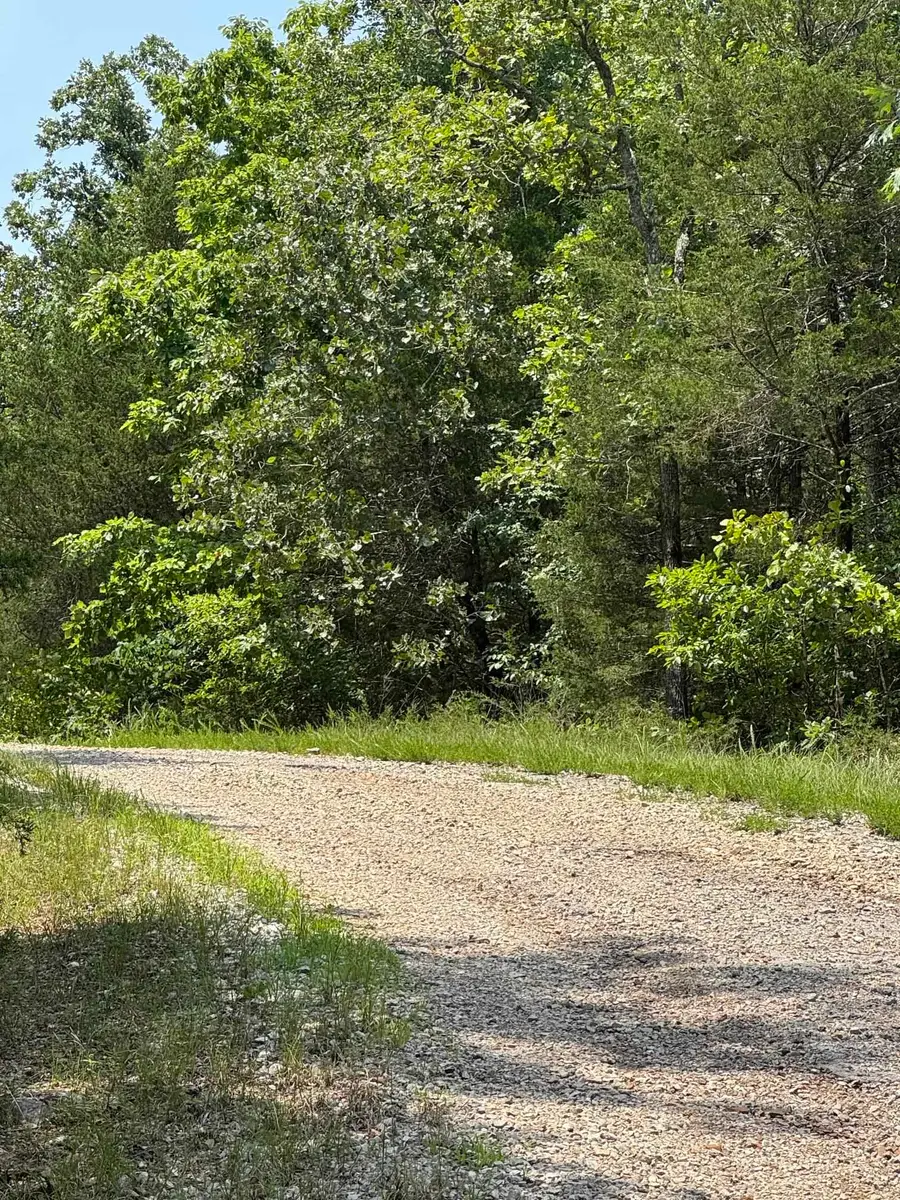 Susquehanna Drive, Cherokee Village, AR 72529 - #3