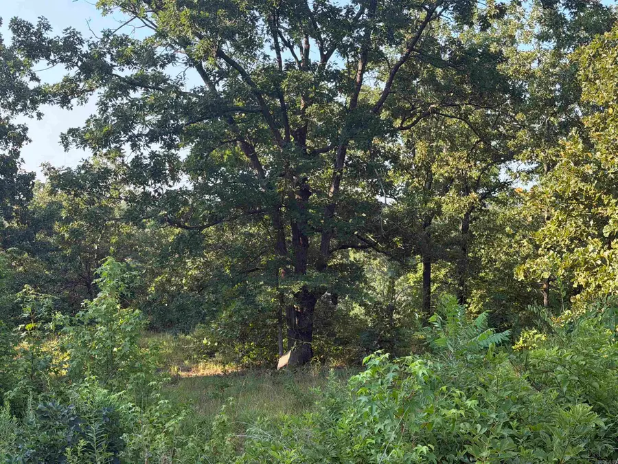 000 Lale Ridge Estates, Searcy, AR 72143 - #3