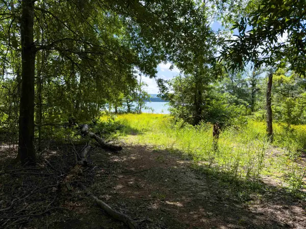 0 Ember Road, Shirley, AR 72153