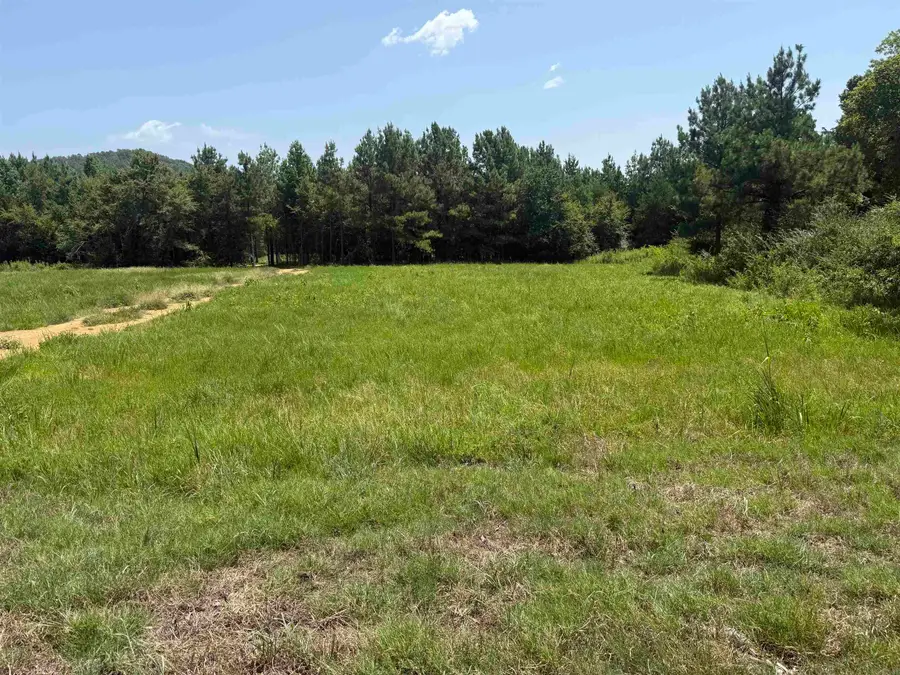 5883 Hwy 123, Lamar, AR 72846 - #2