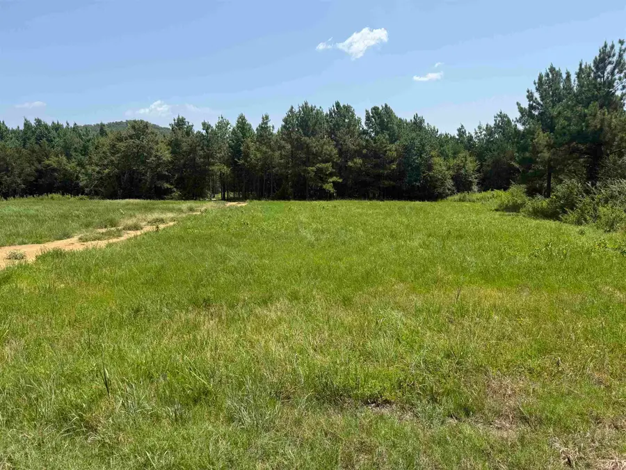 5883 Hwy 123, Lamar, AR 72846 - #3